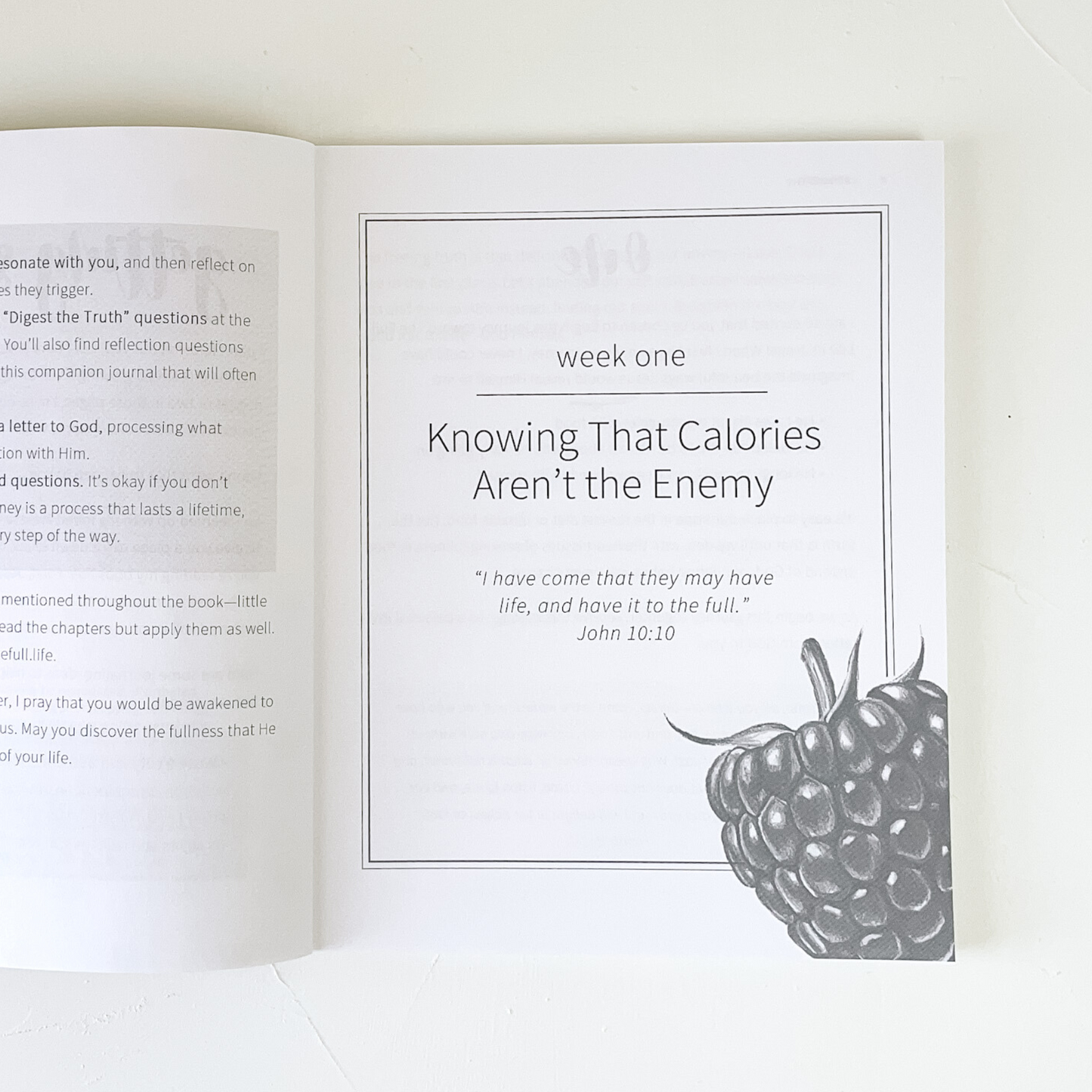 The Full Life: A companion journal for Full: Food, Jesus, and the Battle for Satisfaction