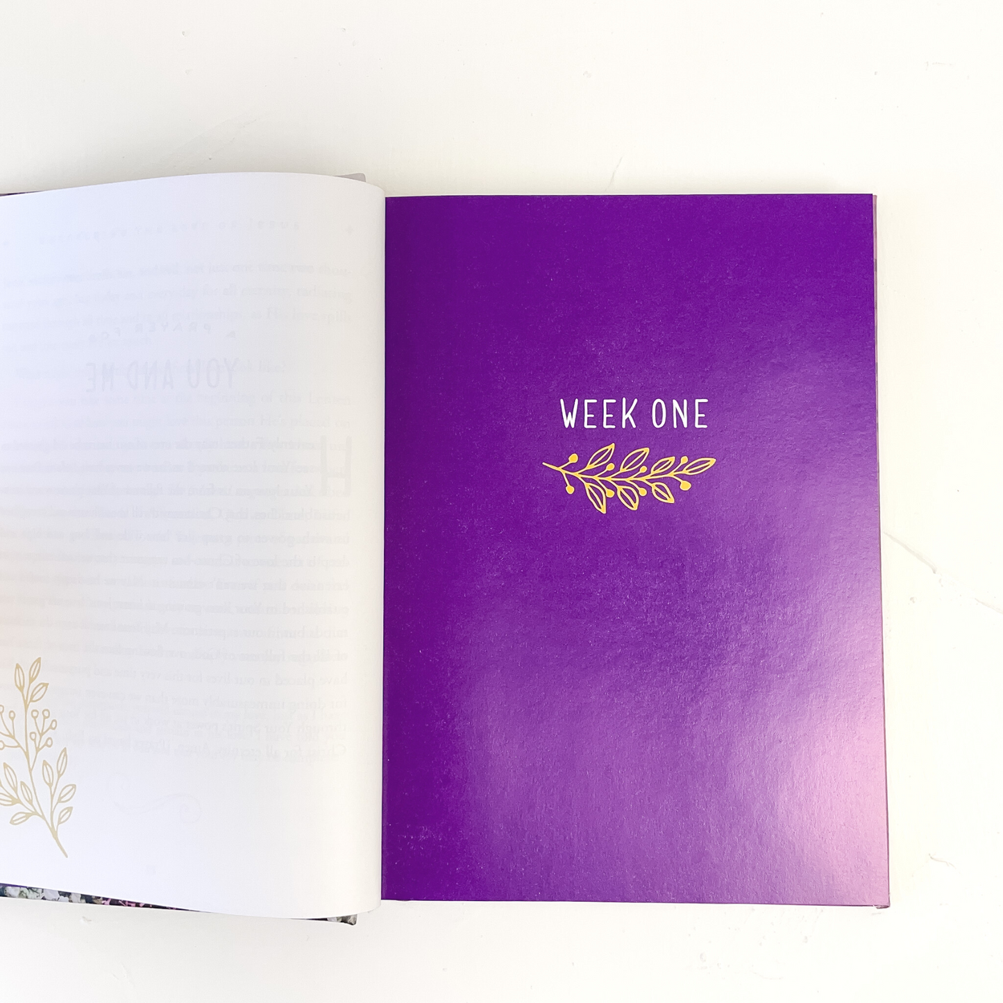 Signed Copy of Uncovering the Love of Jesus: A Lent Devotional
