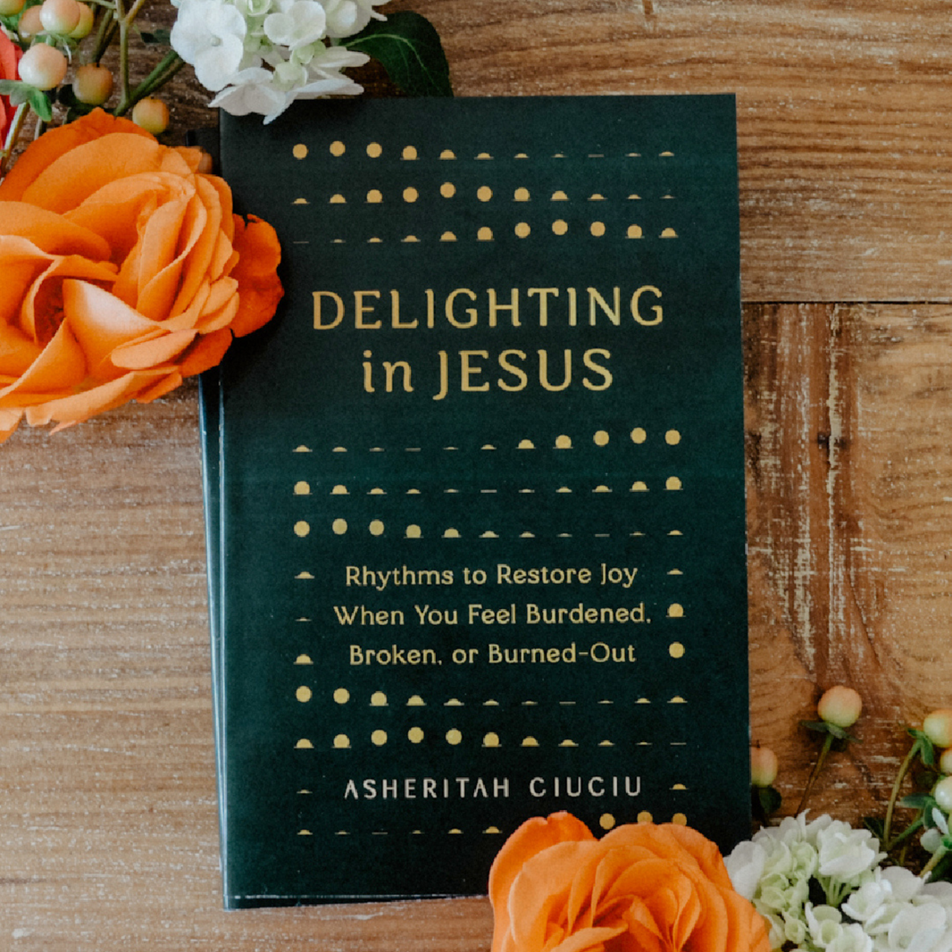 Books Delighting in Jesus