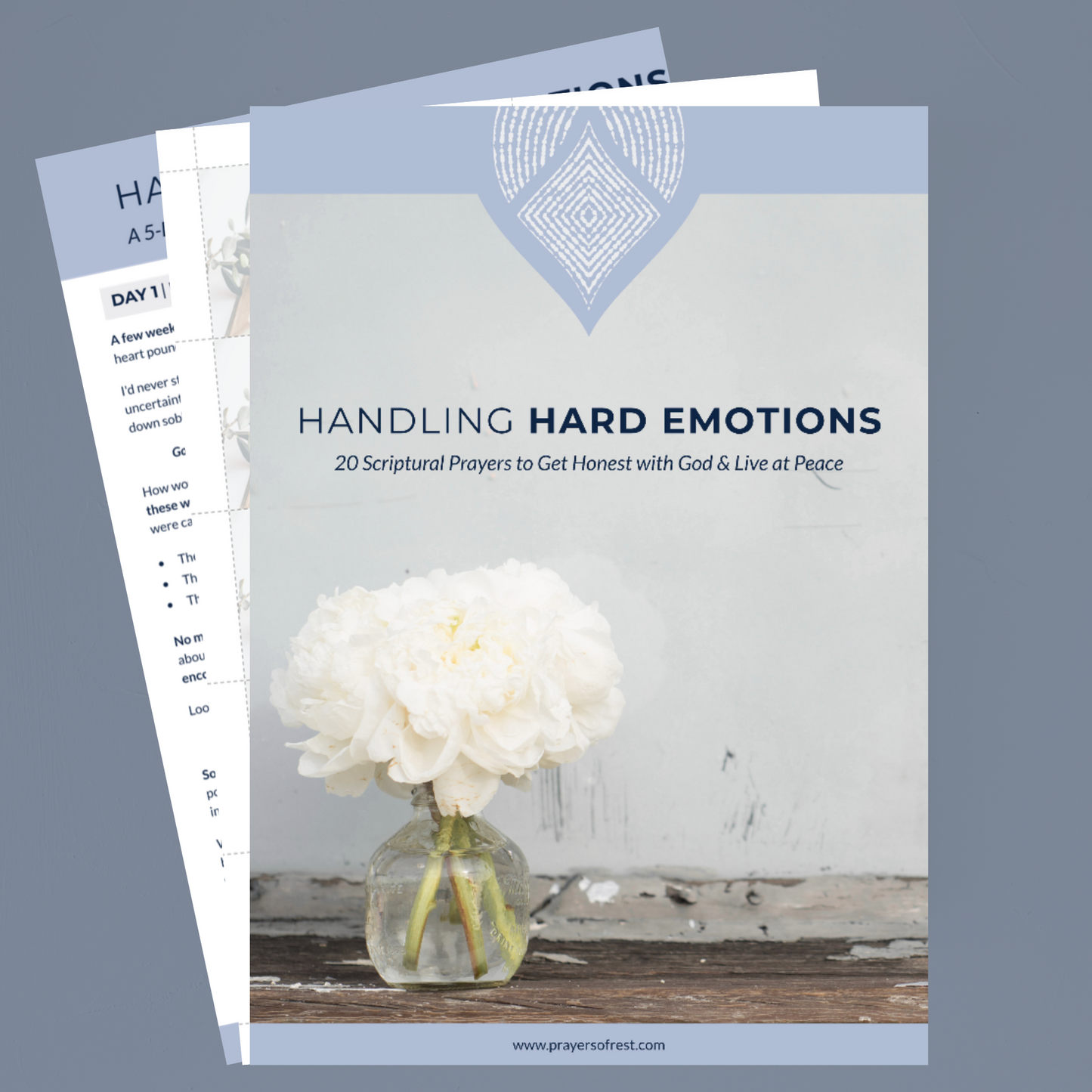 Handling Hard Emotions Scripture Cards - DIGITAL DOWNLOAD ONLY
